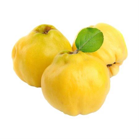 0a799419-ed25-4112-9da6-da31cebff50c