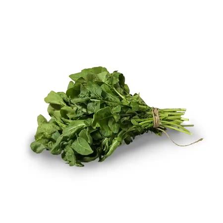 11b166b9-94c0-4e59-afa6-862404842412