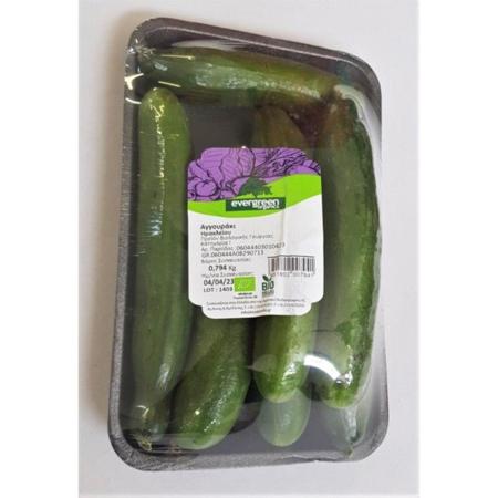 1247b537-0742-4827-a960-2bbc8cd4354c