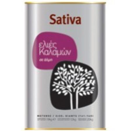 13a9d3a2-8e16-4cb8-8bb8-150c05f05f18