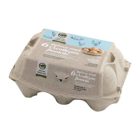 1dae3f02-930d-4b2d-9c1d-26122e6f95cb