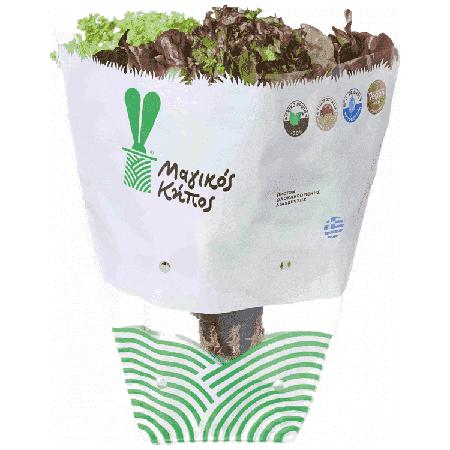 21780ba7-e699-4e66-bbce-fe7c9de32368