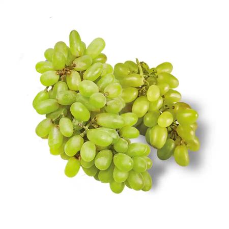 23ffff38-6f12-4d6e-90f4-dd9ab247633f