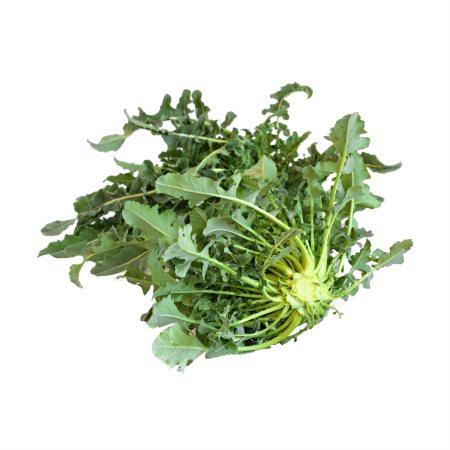 3472488d-fe60-4fe8-a020-639b2f0f4e8a