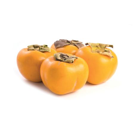 34b526fe-ec12-4227-830b-5556513c5334