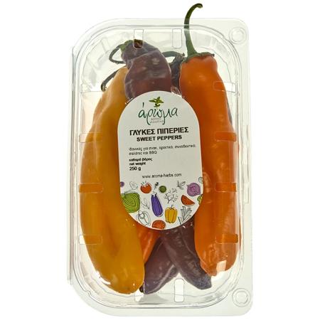 3b1b575e-86d5-4870-85e3-3f0ba49b37eb