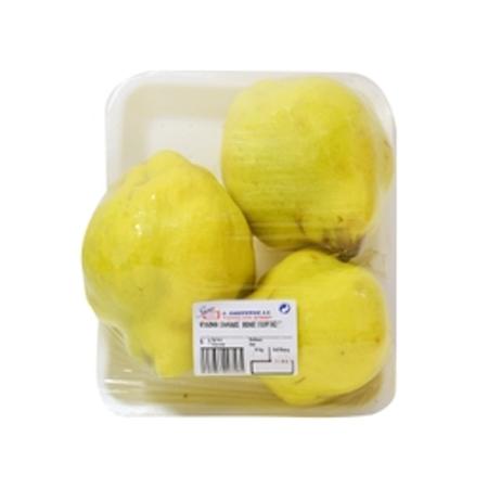 411e90e7-73c5-4e76-a7a5-635912d057cd