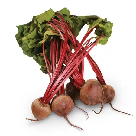 47742f99-85c3-4e7d-a258-7c058ee2d695