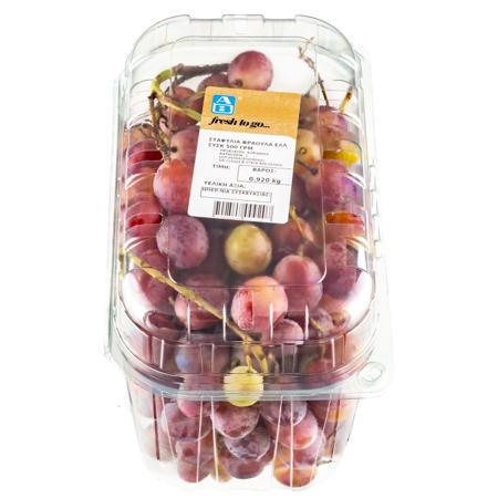 47992289-f898-4565-958b-1259e15d1dd5