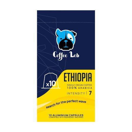 49733582-cefc-4dcf-b18a-f9f87eb11dcb