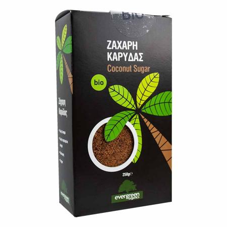 49c9ff7e-8ab4-4aa9-8e12-43a20ccbb507