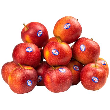 5a752652-3d67-4c21-a9f5-ddaa1ff81327