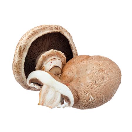 6198ea15-d874-499b-91b0-69e0080da14b