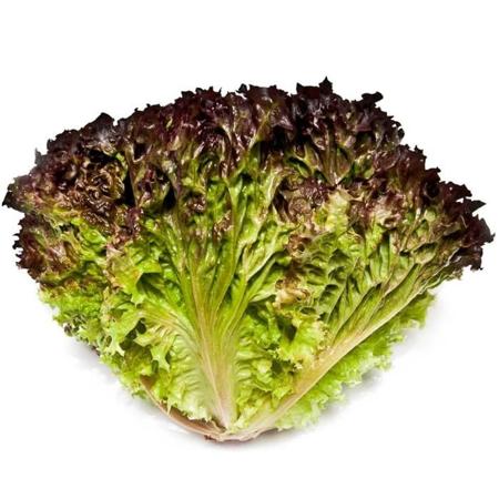 61b42025-715a-49e0-ad67-3c1af86ccbe3