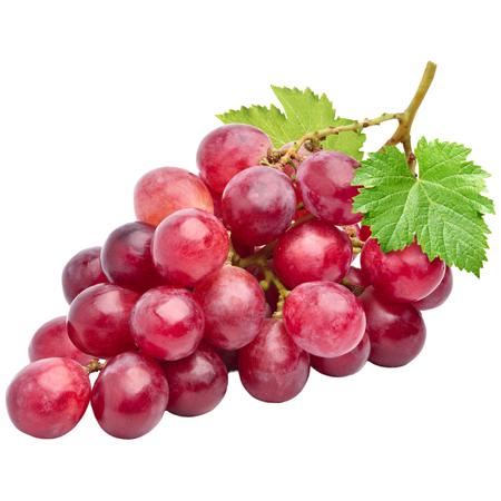 65c56a82-cec0-41c2-be71-521099881b4b