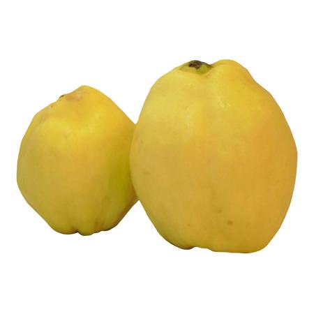 68d0d5b9-5478-4804-b81b-f87dfde0fe97