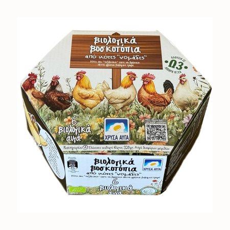 70e02ae7-a56c-4ef6-a034-2eb7c0628050