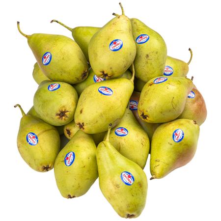 72e058be-0486-41ec-b4f5-561f3439eb6e