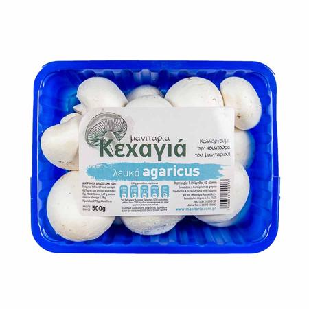 77fbe476-507b-442c-af55-1437851777b3