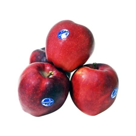 7c4c8e88-c38c-48ff-9198-900219668bf2