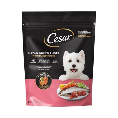 8d62a0a7-c2d2-4303-8cc4-1641bd947c79