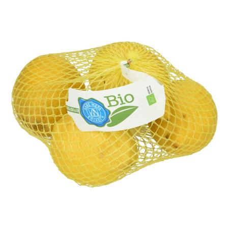 8f906627-91bf-4cdc-8728-95f2e4b8ca13