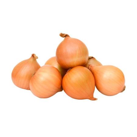 9667bddc-1303-4174-a996-6f1607677356