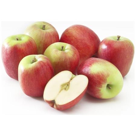 a5b30794-58a2-42d3-a868-b8e3dcddc516