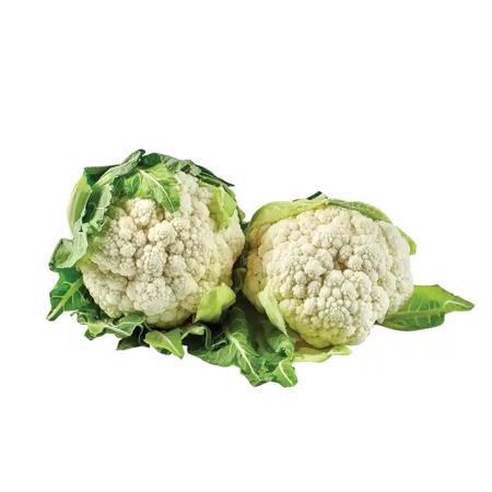 a68ec0f7-edfd-4c51-92b2-b5d809c7f505