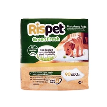 ad053646-06a0-45af-8a42-284f922ab649