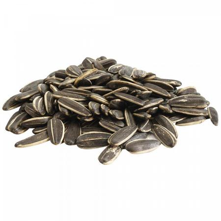 b31d4e18-063b-4750-a5dd-24771fdb06a2