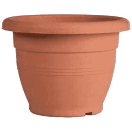 b5645972-bca0-4930-be31-c3f12bba720c