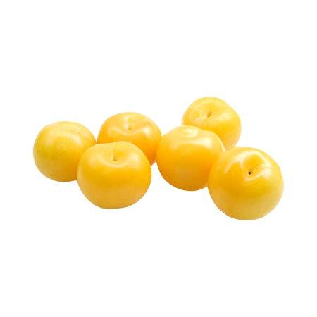 b920f883-697e-4349-b5c0-66456dbea0ef