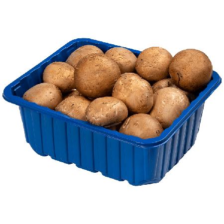 be331cb5-985d-4830-beba-d18cd9023e2c