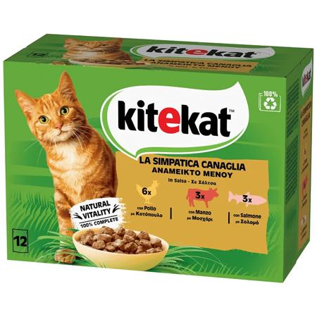 c6f0206d-9710-4e9a-bd9a-93da11a440e7