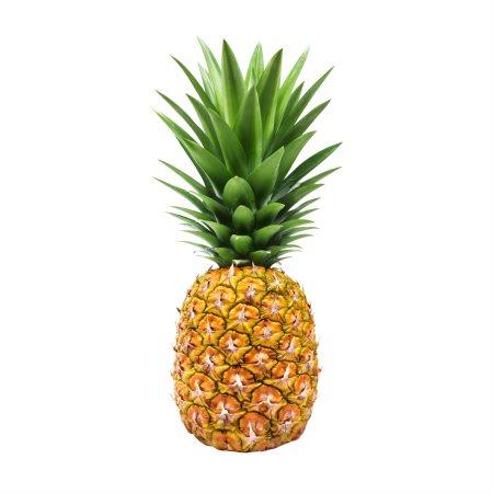 c96d8f34-1b86-4a8d-b536-c118c5acff0a