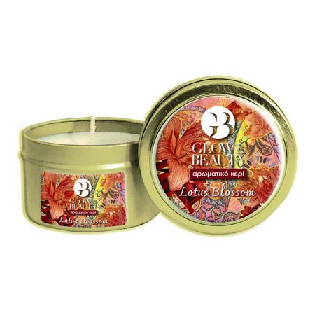 cdae2055-3d3b-41c2-8489-3e06c6f4909e