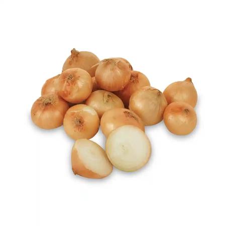 d5da2ac1-1218-4b9f-bfa4-9e8cdd513943