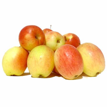 dac6cb1e-bb61-4bf1-8546-ee716e28f08f