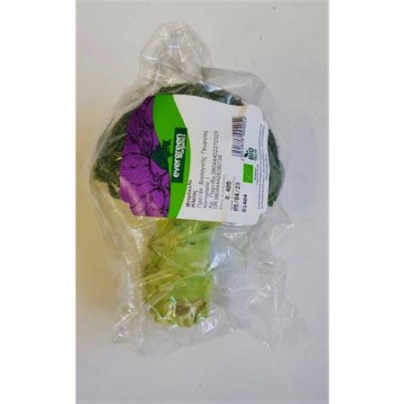 dc060697-ae48-4a94-b632-da1830c7ca81