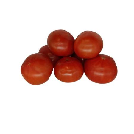 e05af248-021d-4c59-ae98-5aa05ee8de98