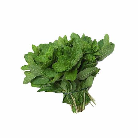 ed555019-314e-4e20-9f86-fbda1a0a6a97