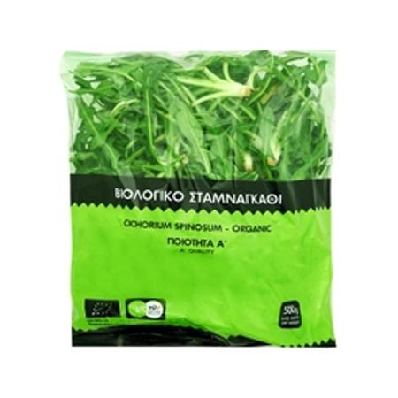 ff173be5-cf98-4753-9a9c-83fe53117503