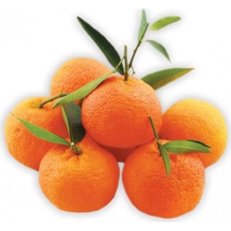 012f8113-441a-4404-9afc-d453f73533d1