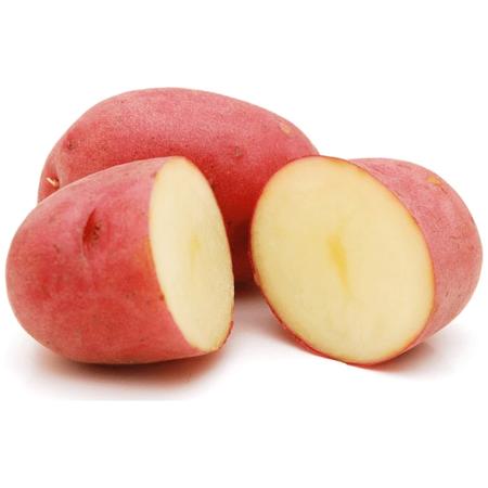 03314664-d487-4894-aed0-186611b4a9a1