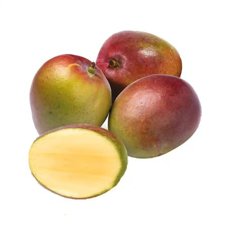 037d997b-44c3-4ab5-a324-b4214ab7180f