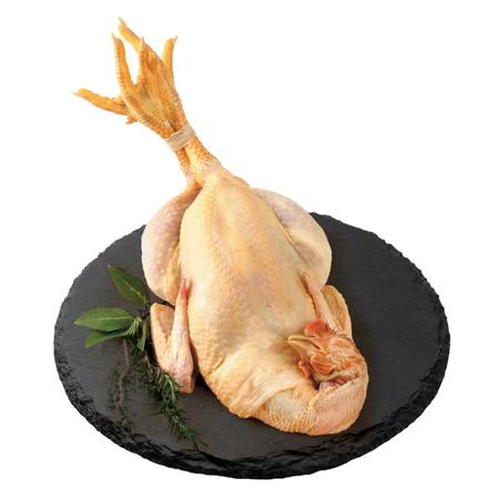 06702ad3-01dd-432f-a1fa-cf834f3389bf