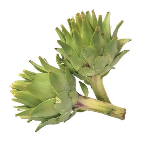 069399b7-d221-4aaf-b3e4-3d44794ec07c