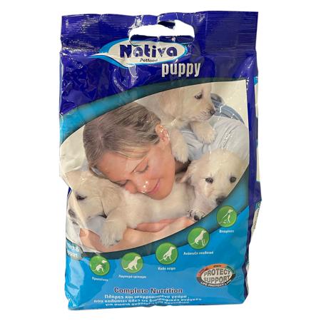 078ac00e-368d-4bb8-8735-ad5e94cf268b