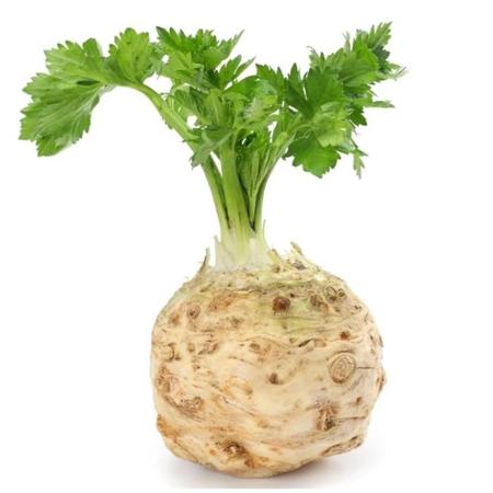 07e3920c-5fd3-4cbb-b128-c81e8bef8a0e